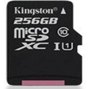 Карта памяти Micro SecureDigital 256Gb Kingston SDCS/256GB {MicroSDXC Class 10 UHS-I, SD adapter}