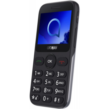 Мобильный телефон Alcatel 2019G серебристый моноблок 1Sim 2.4" 240x320 Thread-X 2Mpix GSM900/1800 GSM1900 FM microSD max32Gb