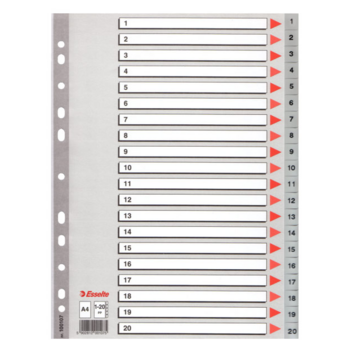 Разделитель индексный Esselte 100107 A4 пластик 20 индексов 1-20