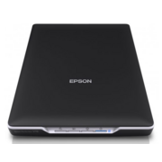 Сканер EPSON Perfection V19 [B11B231401] {А4, 4800x4800,USB 2.0}