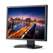 Монитор NEC 21.3" P212-BK Black {IPS,440cd/m2,1500:1,8ms,1600x1200,178/178,Hight adj:110,Swiv,Tilt,Pivot;D-sub;DVI-D,HDMI,Displ.Port;}