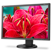 Монитор NEC 24" E245WMi-BK Black {PLS 1920x1200 250cd 1000:1 6ms 178/178 16:10 DVI-D D-sub DisplayPort}