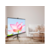 Экран Cactus 104.4x186см Triscreen CS-PST-104x186 16:9 напольный рулонный черный