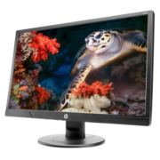 Монитор HP 20.7" ProDisplay V214a черный TN+film LED 5ms 16:9 HDMI M/M матовая 200cd 1920x1080 D-Sub FHD 3кг