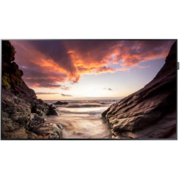 Панель Samsung 32" PM32F черный E-LED BLU LED 8ms 16:9 DVI HDMI M/M 5000:1 400cd 178гр/178гр 1920x1080 D-Sub DisplayPort USB 5.6кг (RUS)