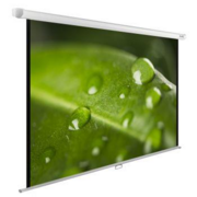 Экран Cactus WallExpert CS-PSWE-200x150-WT 150x200 см 4:3 настенно-потолочный рулонный