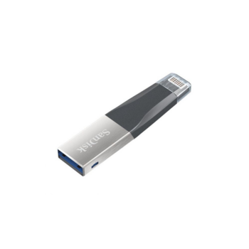 Флеш Диск Sandisk 32Gb iXpand Mini SDIX40N-032G-GN6NN USB3.0 черный/серебристый