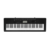 Синтезатор Casio CTK-3500 61клав. черный