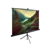 Экран Cactus 220x220см TriExpert CS-PSTE-220x220-BK 1:1 напольный рулонный черный
