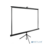 Экран Cactus 220x220см TriExpert CS-PSTE-220x220-BK 1:1 напольный рулонный черный