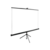 Экран Cactus 220x220см TriExpert CS-PSTE-220x220-BK 1:1 напольный рулонный черный
