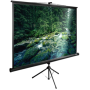 Экран Cactus 165x220см TriExpert CS-PSTE-220x165-BK 4:3 напольный рулонный черный