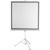 Экран 172x172см Digis Kontur-D DSKD-1104 1:1 напольный рулонный