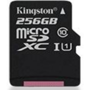 Карта памяти Micro SecureDigital 256Gb Kingston SDCS/256GB {MicroSDXC Class 10 UHS-I, SD adapter}