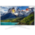 Телевизор LED Samsung 43" UE43N5510AUXRU 5 белый FULL HD 50Hz DVB-T2 DVB-C DVB-S2 USB WiFi Smart TV (RUS)