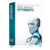 Лицензия ESD ESET NOD32 Антивирус - лицензия на 1 год на 1ПК (NOD32-ENA-NS(AEKEY)-1-1) Лицензия ESD ESET NOD32 Антивирус - лицензия на 1 год на 1ПК (NOD32-ENA-NS(AEKEY)-1-1)