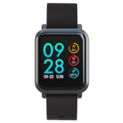 Смарт-часы Digma Smartline S9m 1.22" IPS черный (S9MBK)