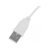 Мышь Defender Cyber MB-560L белый оптическая 1600dpi USB для ноутбука 2but (52561)