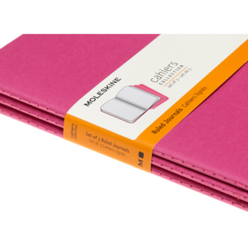 Блокнот Moleskine CAHIER JOURNAL CH016D17 Large 130х210мм обложка картон 80стр. линейка розовый неон (3шт)