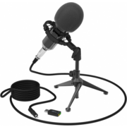Микрофон проводной Ritmix RDM-160 2.5м черный