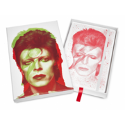 Блокнот Moleskine LIMITED EDITION DAVID BOWIE LEDBQP060CLT Large 130х210мм 240стр. линейка твердая обложка коллекционный белый