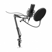 Микрофон проводной Ritmix RDM-180 2.5м черный