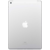 Apple 10,2-inch iPad Wi-Fi + Cellular 128GB Silver 2019
