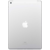 Планшетный компьютер Apple iPad 10.2-inch Wi-Fi + Cellular 32GB - Silver [MW6C2RU/A] (2019)