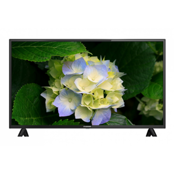 Телевизор LED Starwind 40" SW-LED40BA201 черный FULL HD 60Hz DVB-T DVB-T2 DVB-C DVB-S DVB-S2 (RUS)