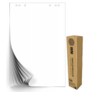 Блок бумаги Cactus CS-PFC20W-5 для флипчартов 67.5х98см клетка 20л (упак.:5шт)