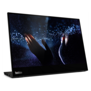 Монитор Lenovo ThinkVision M14t Touch 14" 16:9 IPS 1920x1080 6ms 700:1 330cd/m2 178/178 ////2 x USB-C/Touch, (USB-C cable), Pen, Sleeve