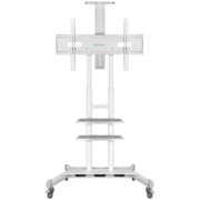 Подставка для телевизора Onkron TS1881 белый 50"-83" макс.90.9кг напольный мобильный