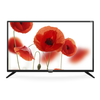 Телевизор LED Telefunken 31.5" TF-LED32S36T2 черный/HD READY/50Hz/DVB-T/DVB-T2/DVB-C/USB (RUS)