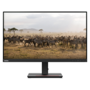 LCD Lenovo 27" ThinkVision S27e-20 черный {IPS 1920x1080 4ms 16:9 1000:1 250cd 178/178 D-Sub HDMI} [62AFKAT2EU]