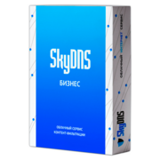 Программное Обеспечение Skydns Бизнес. 5 лицензий на 1 год (SKY_BSN_5)