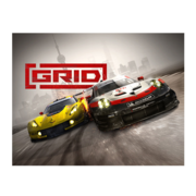 ПО Codemasters Grid (CODE_7291)