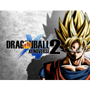 ПО Namco Bandai Dragon Ball Xenoverse 2 (NAM_1877)