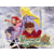 ПО Namco Bandai Tales of Symphonia (NAM_3470)