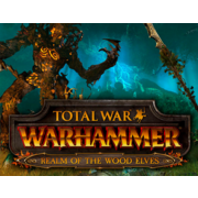 ПО Sega Total War: Warhammer - The Realm of the Wood Elves DLC (SEGA_2043)