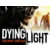 ПО Techland Dying Light (TECH_4980)