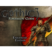 ПО THQ Nordic Gothic 3: Forsaken Gods Enhanced Edition (THQ_1755)