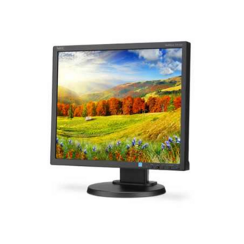 Монитор LCD 19'' [5:4] 1280х1024(SXGA) IPS, nonGLARE, 250cd/m2, H178°/V178°, 1000:1, 16.7M Color, 6ms, VGA, DVI, DP, Height adj, Pivot, Tilt, HAS, Swivel, 3Y, Black