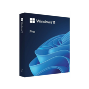 Microsoft Windows 11 Professional 64-bit English Int 1pk DSP OEI DVD лицензия с COA и носителем информации (FQC-10528)