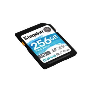 Карта памяти Kingston 256GB SDXC Canvas Go Plus 170R C10 UHS-I U3 V30