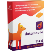 Неискл. право на исп-ие ПО DataMobile версия Online Lite подписка на 1г (DMONLINELITE12M)