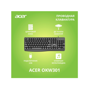 Клавиатура Acer OKW301 черный USB Multimedia для ноутбука (ZL.KBDCC.01A)