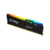 Память DDR5 16GB 5600MHz Kingston KF556C36BBEA-16 Fury Beast Black Expo RGB RTL Gaming PC5-44800 CL36 DIMM 288-pin 1.25В kit single rank с радиатором Ret