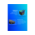 Система водяного охлаждения ID-Cooling DX240 Max Soc-AM5/AM4/1200/1700/1851 черный 4-pin 32.5dB Al+Cu 300W Ret