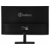 Монитор Pinebro 23.8" MF-2404DD(100) черный IPS LED 4ms 16:9 DVI HDMI M/M матовая 300cd 178гр/178гр 1920x1080 100Hz FreeSync VGA DP FHD 2.7кг