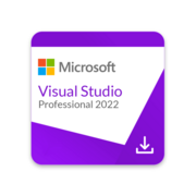 Лицензия на ПО Лицензия на ПО/ Visual Studio 2022 Professional